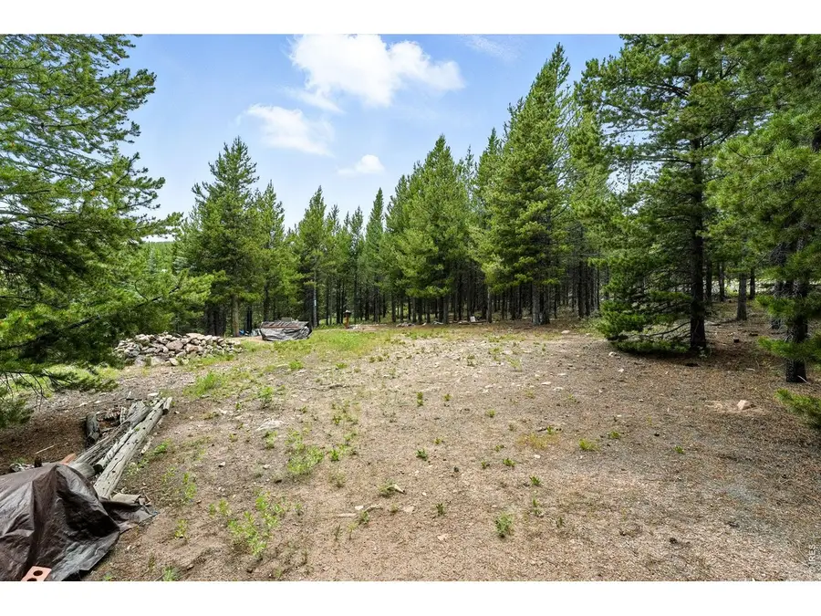 754 Mescalero Dr, Red Feather Lakes, CO 80545 - #3