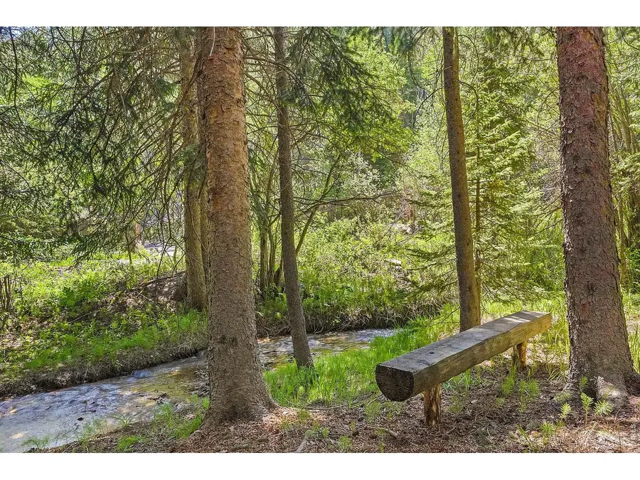 3727 Gamble Gulch Rd, Black Hawk, CO 80422 - #3