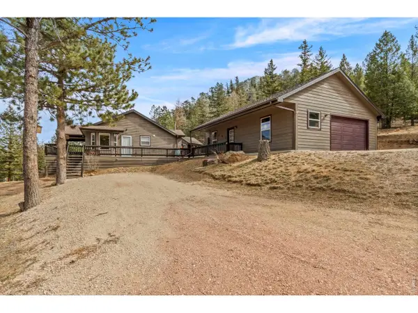 419 Ute Peak Dr, Livermore, CO 80536