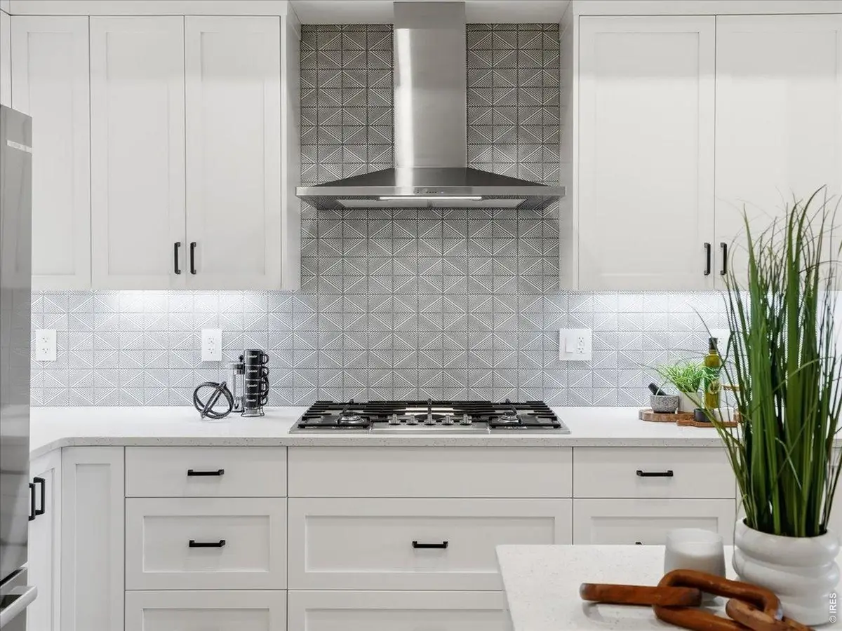 221 E Mountain Ave #316, Fort Collins, CO 80524 - #1