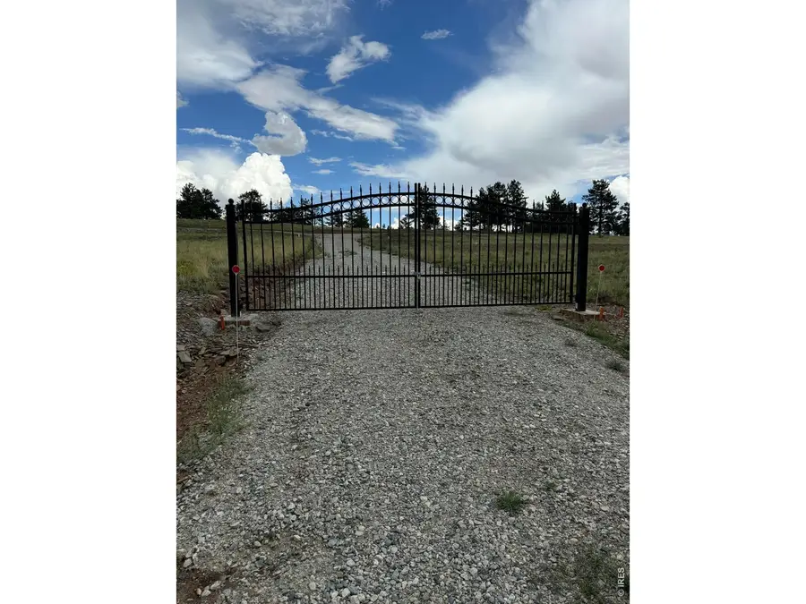 2841 Singletree Rd, Hartsel, CO 80449 - #3