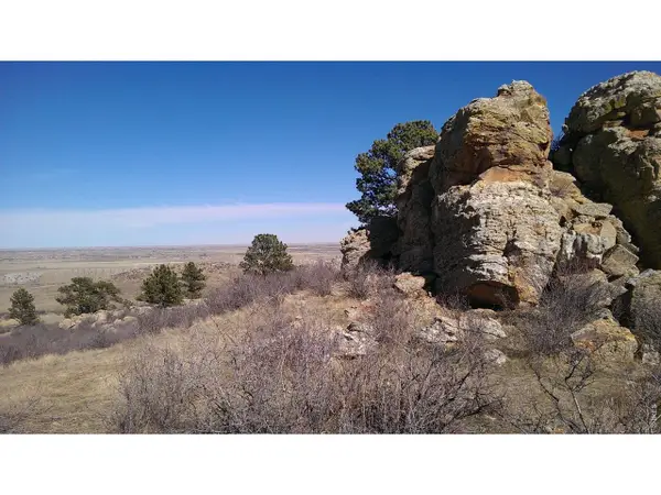 4318 Green Mile Dr, Laporte, CO 80535