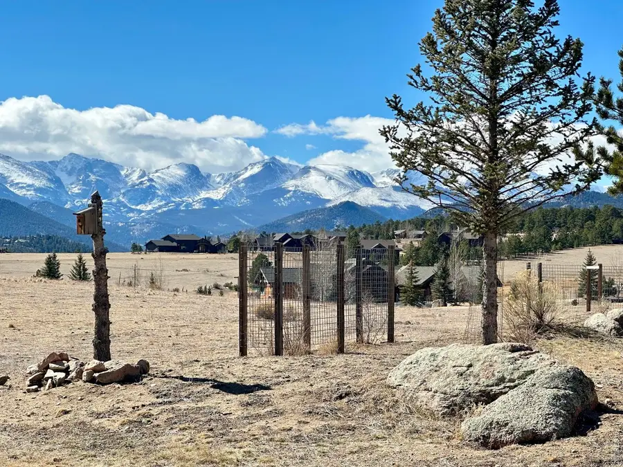 1817 Ptarmigan Trl, Estes Park, CO 80517 - #3