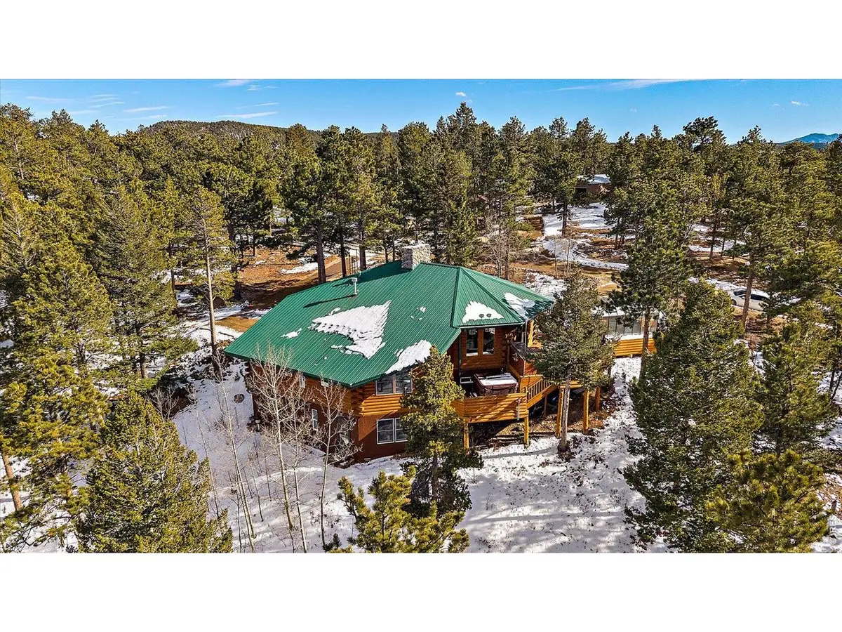 143 Crockett Trl, Ward, CO 80481 - #1