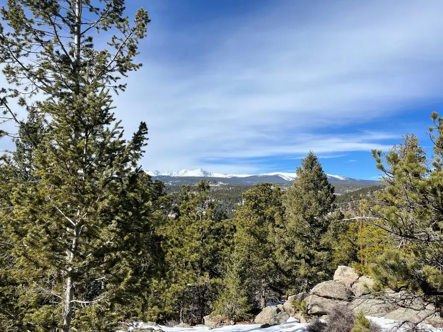 3153 Ridge Rd, Nederland, CO 80466 - #3