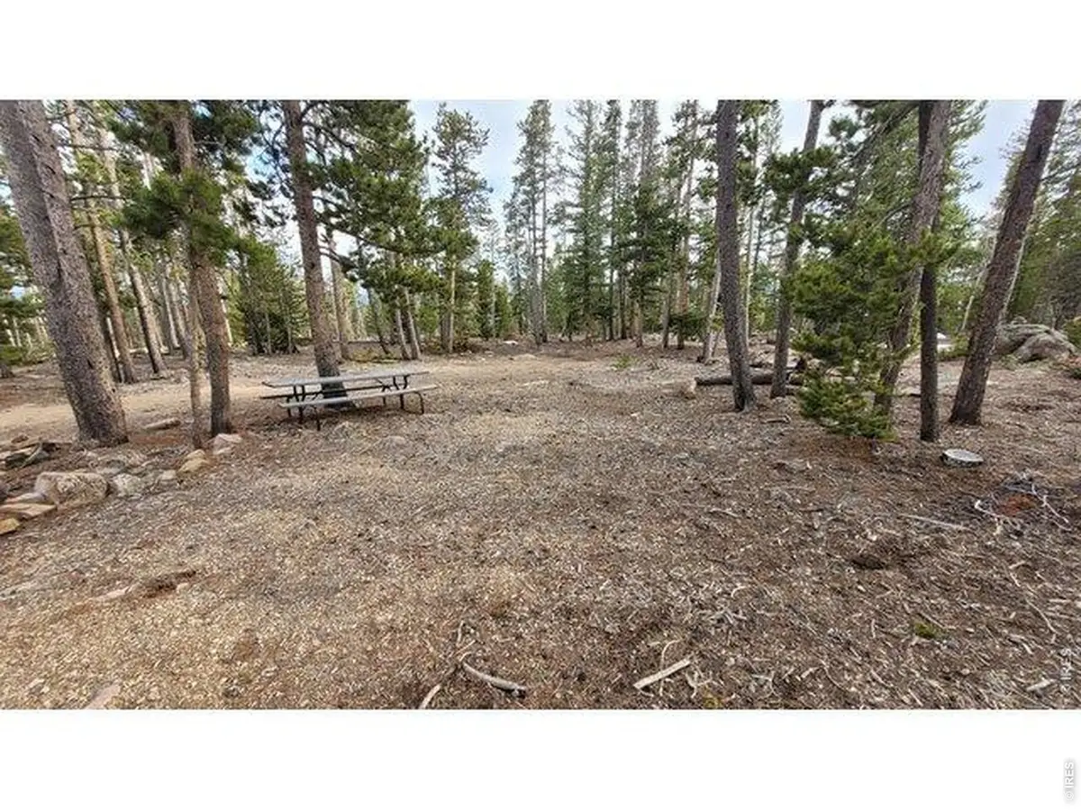 1421 Jicarilla Trl, Red Feather Lakes, CO 80545 - #1