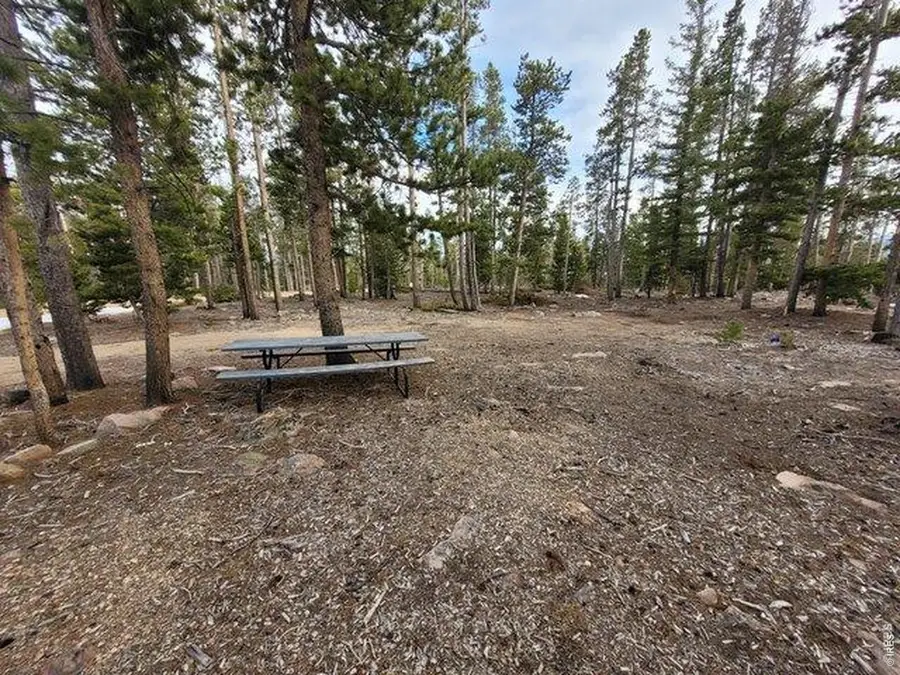 1421 Jicarilla Trl, Red Feather Lakes, CO 80545 - #3
