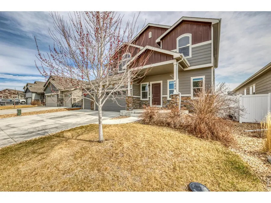 4689 Waltham Dr, Windsor, CO 80550 - #2