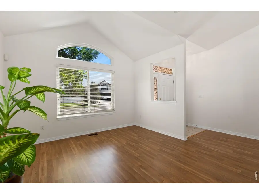 232 Cattail Bay Ct, Windsor, CO 80550 - #3