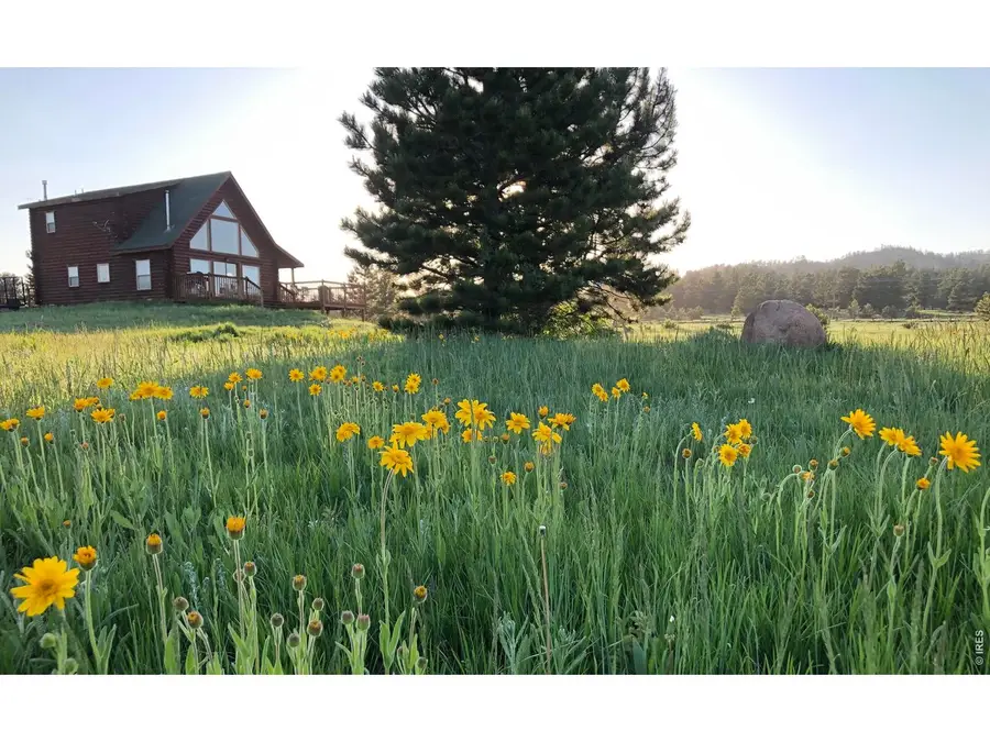 120 N Cucharas Mountain Ct, Livermore, CO 80536 - #3