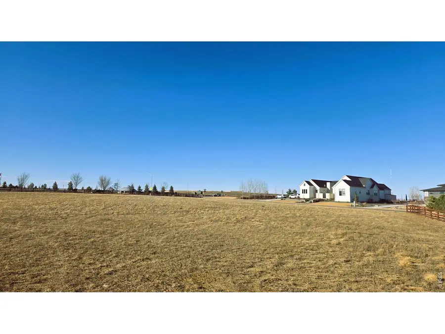 1508 Flowering Tree Ct, Windsor, CO 80550 - #3