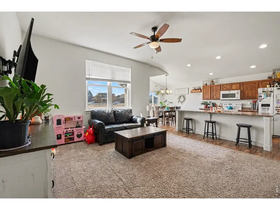 915 Barasingha St, Severance, CO 80550 - #3