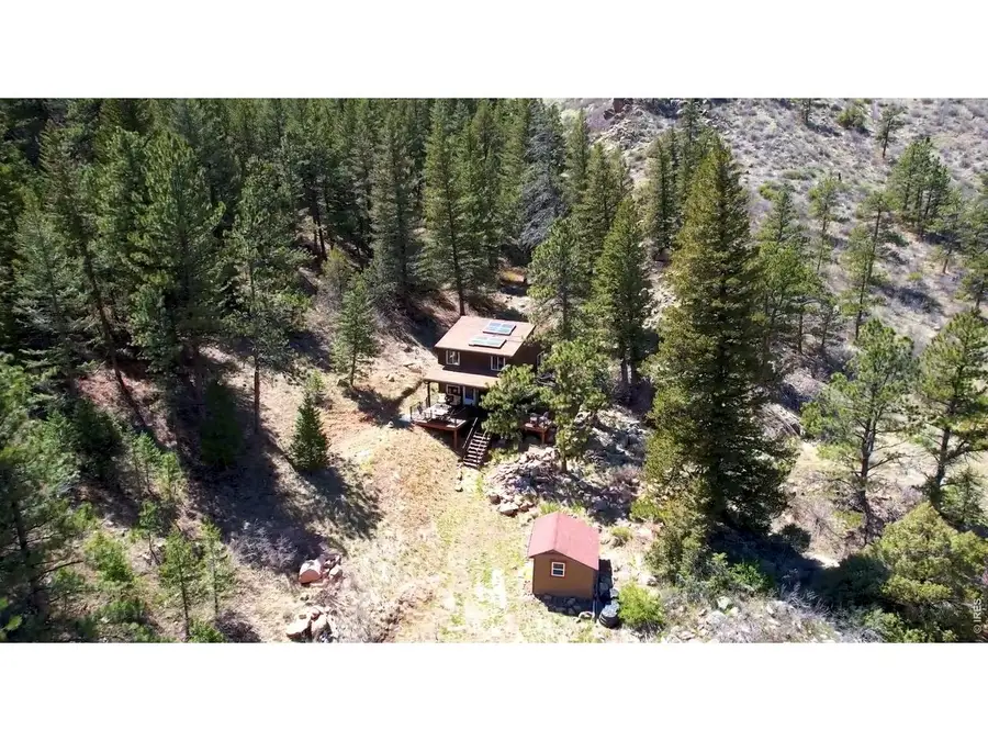 14 Calliope Ln, Livermore, CO 80536 - #3