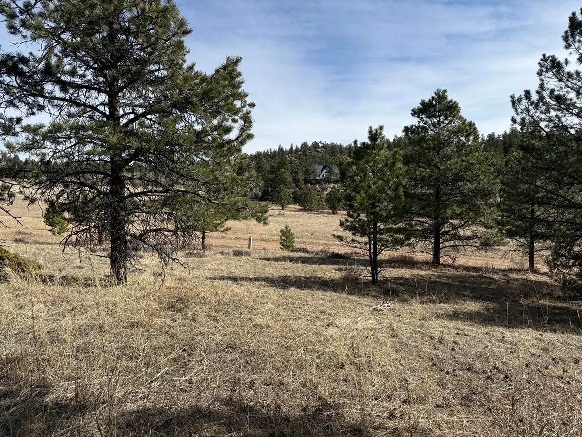 65 Haystack Ct, Livermore, CO 80536 - #1