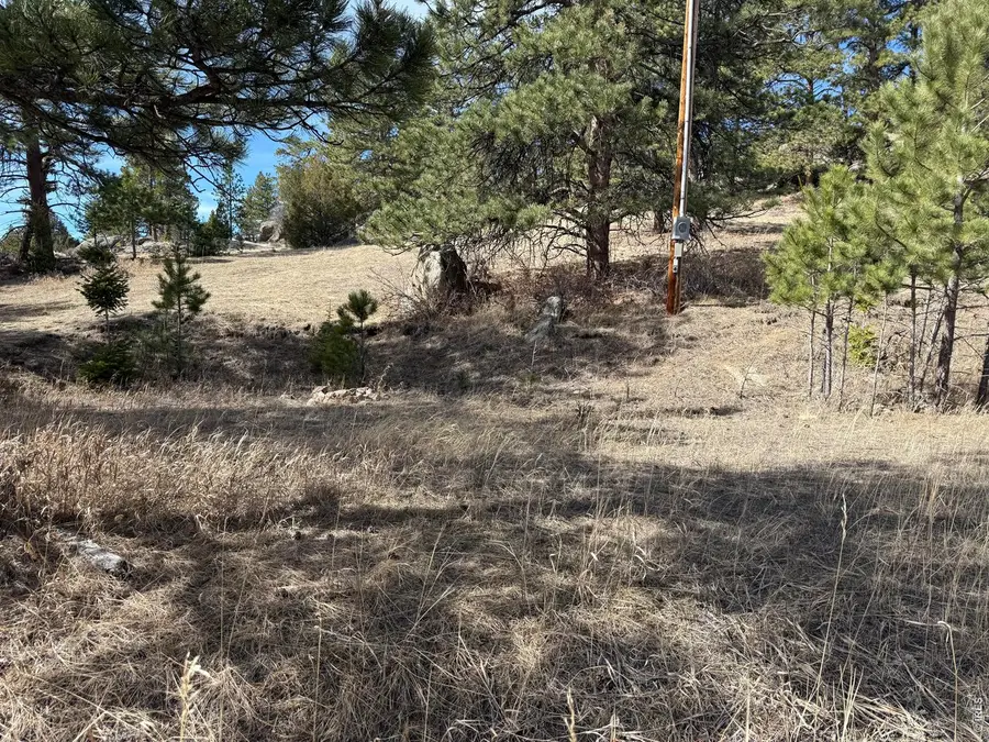 65 Haystack Ct, Livermore, CO 80536 - #2