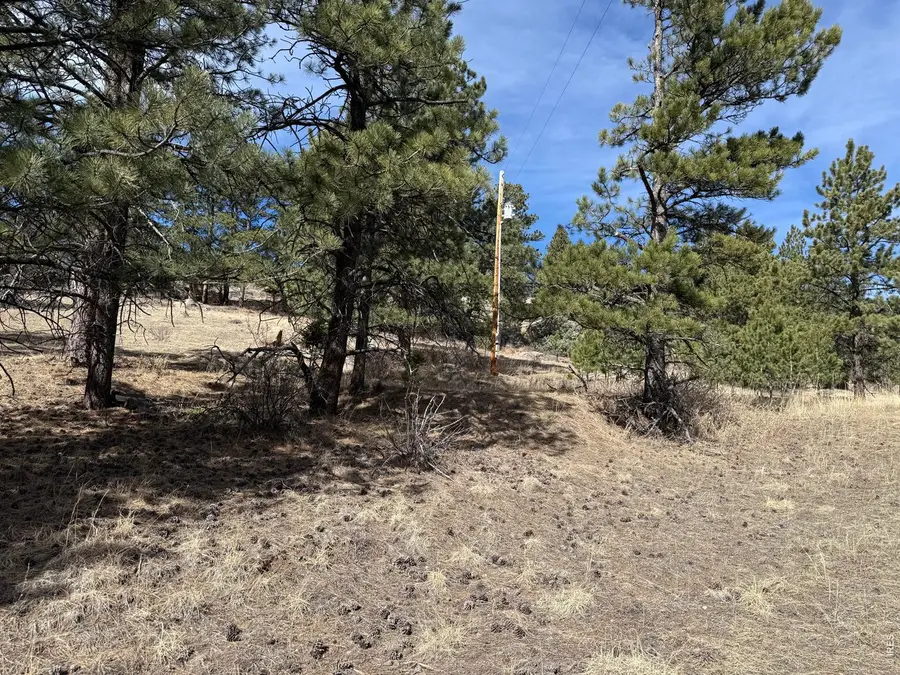 65 Haystack Ct, Livermore, CO 80536 - #3