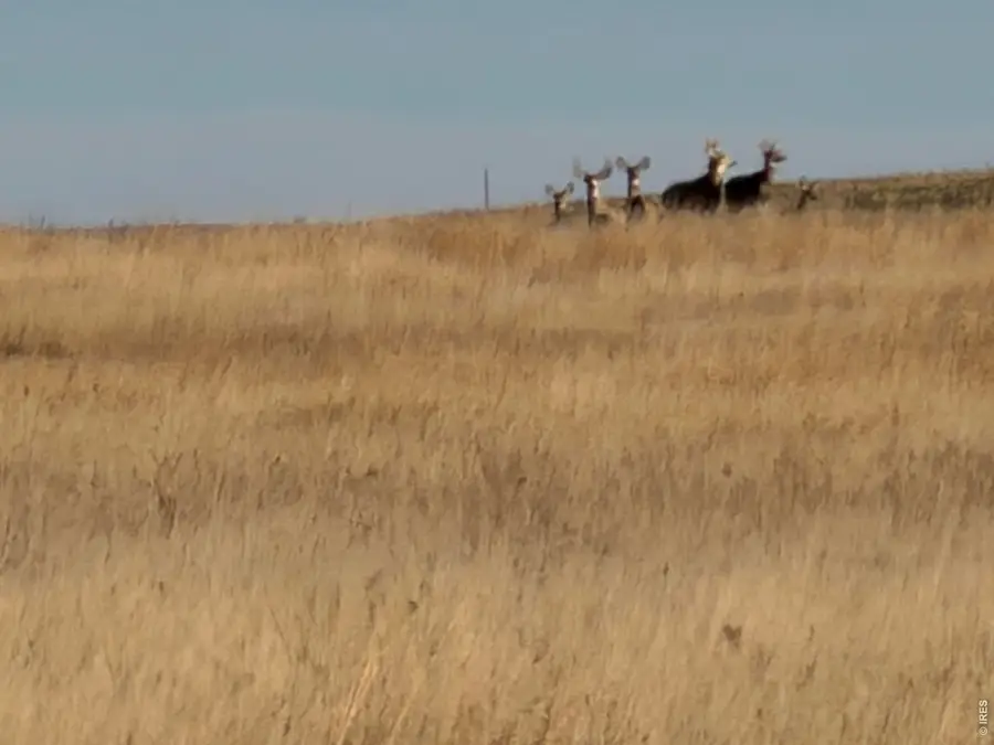 43 Dd Rd, Burlington, CO 80807 - #2