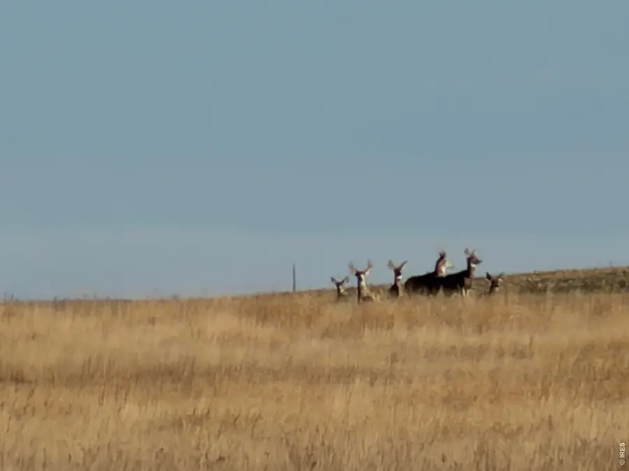 43 Dd Rd, Burlington, CO 80807 - #3