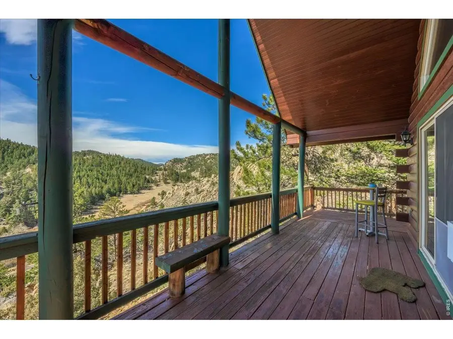 256 W Quandary Ct, Livermore, CO 80536 - #3