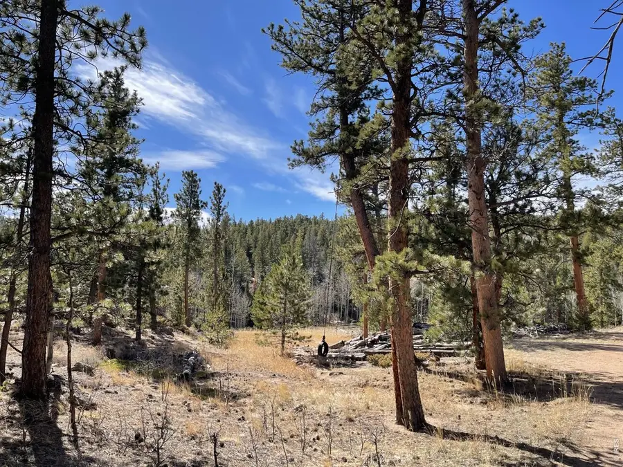 4347 N County Road 73c, Red Feather Lakes, CO 80545 - #3