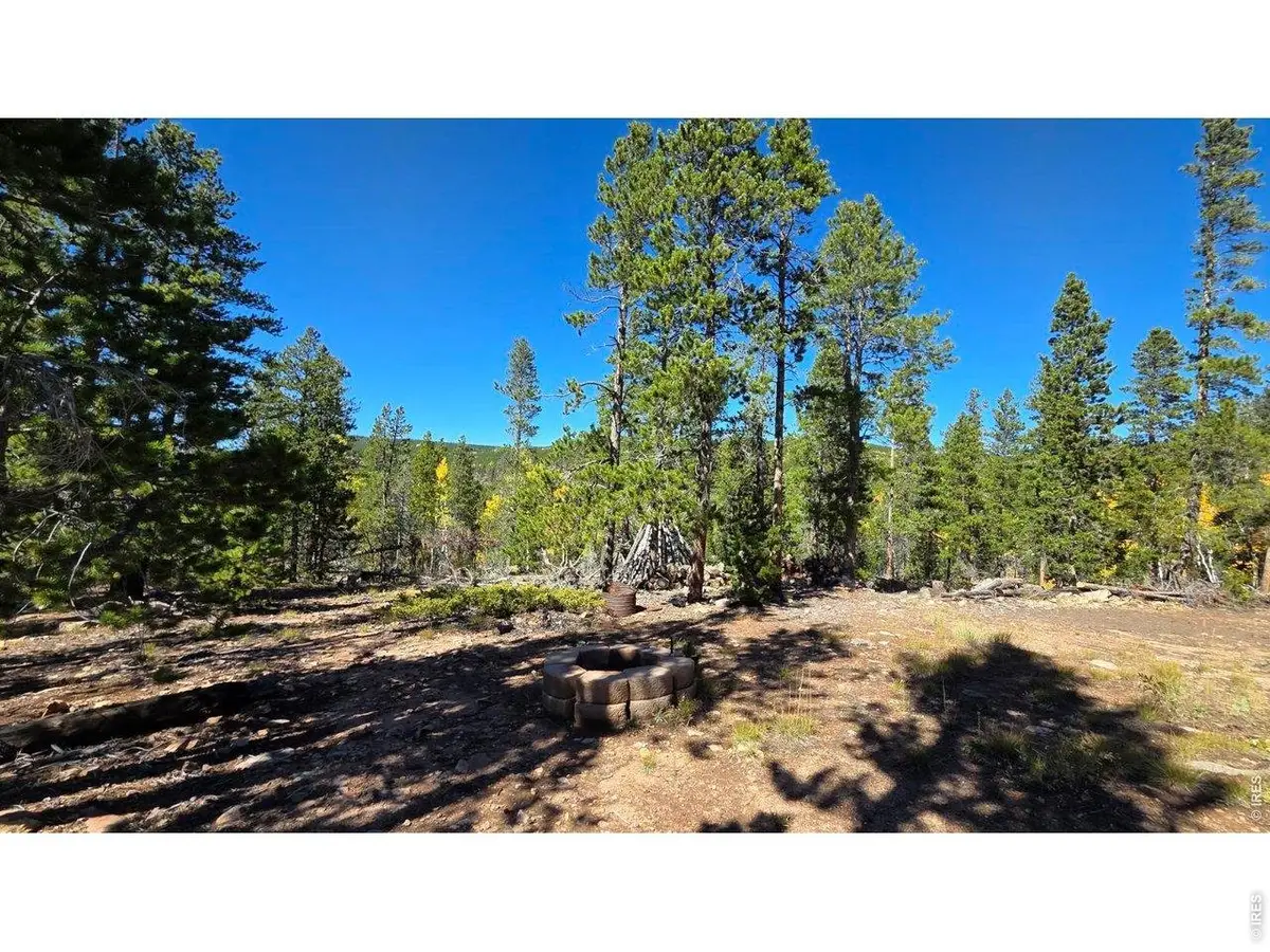 1367 Osage Trl, Red Feather Lakes, CO 80545 - #1