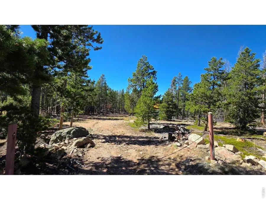 1367 Osage Trl, Red Feather Lakes, CO 80545 - #2