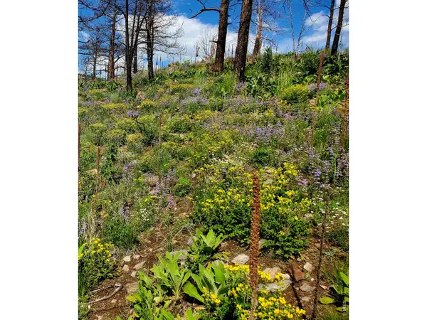 957 Stringtown Gulch Rd, Bellvue, CO 80512