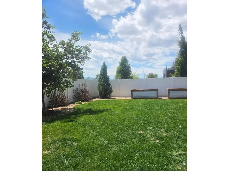 1853 Holloway Dr, Windsor, CO 80550 - #3