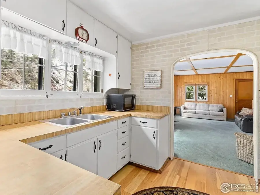 290 River Fork Rd, Drake, CO 80515 - #3