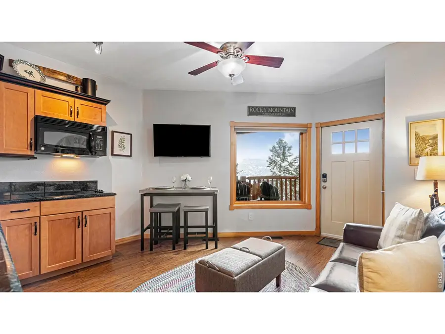 2625 Marys Lake Rd #28C, Estes Park, CO 80517 - #3