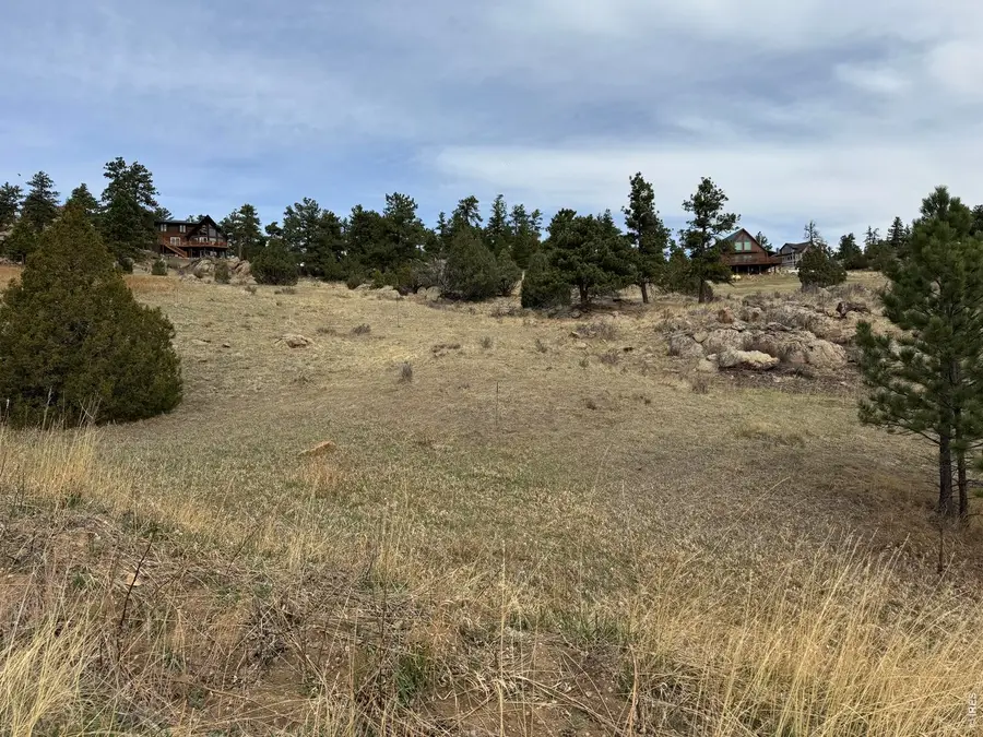 565 Le Conte Dr, Livermore, CO 80536 - #3