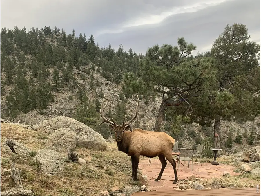 1006 Kneale Rd, Eldorado Springs, CO 80025 - #2