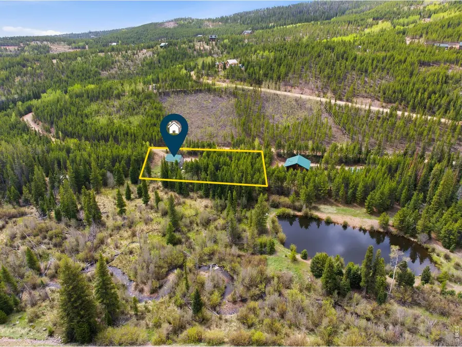 236 Mescalero Dr, Red Feather Lakes, CO 80545 - #3