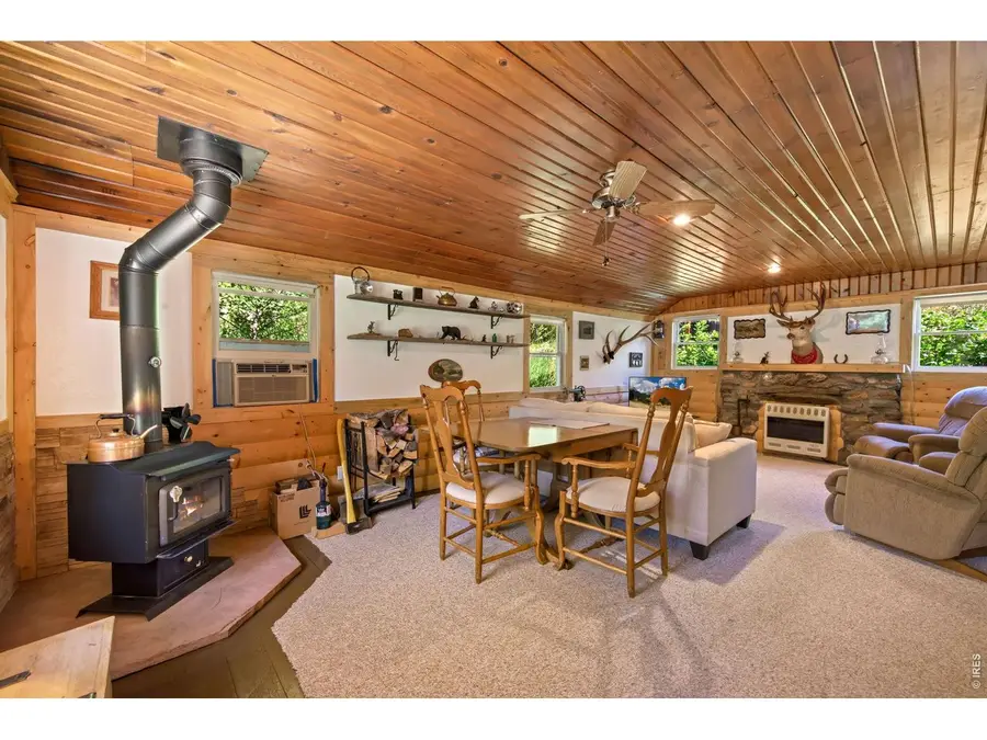 47 Falls Creek Dr, Bellvue, CO 80512 - #3