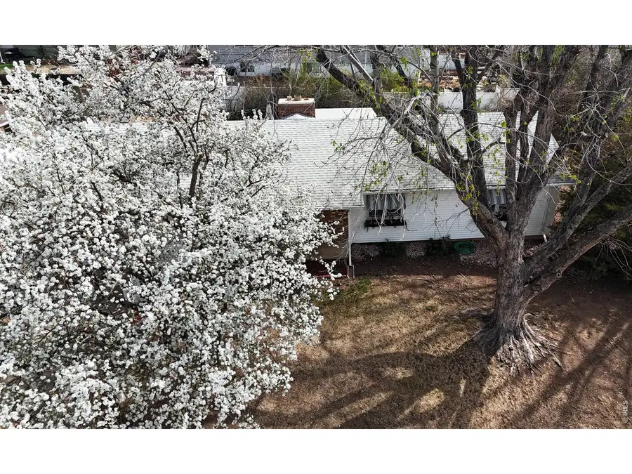 1304 Elm Ave, Loveland, CO 80537 - #2