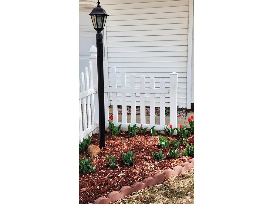 1304 Elm Ave, Loveland, CO 80537 - #3