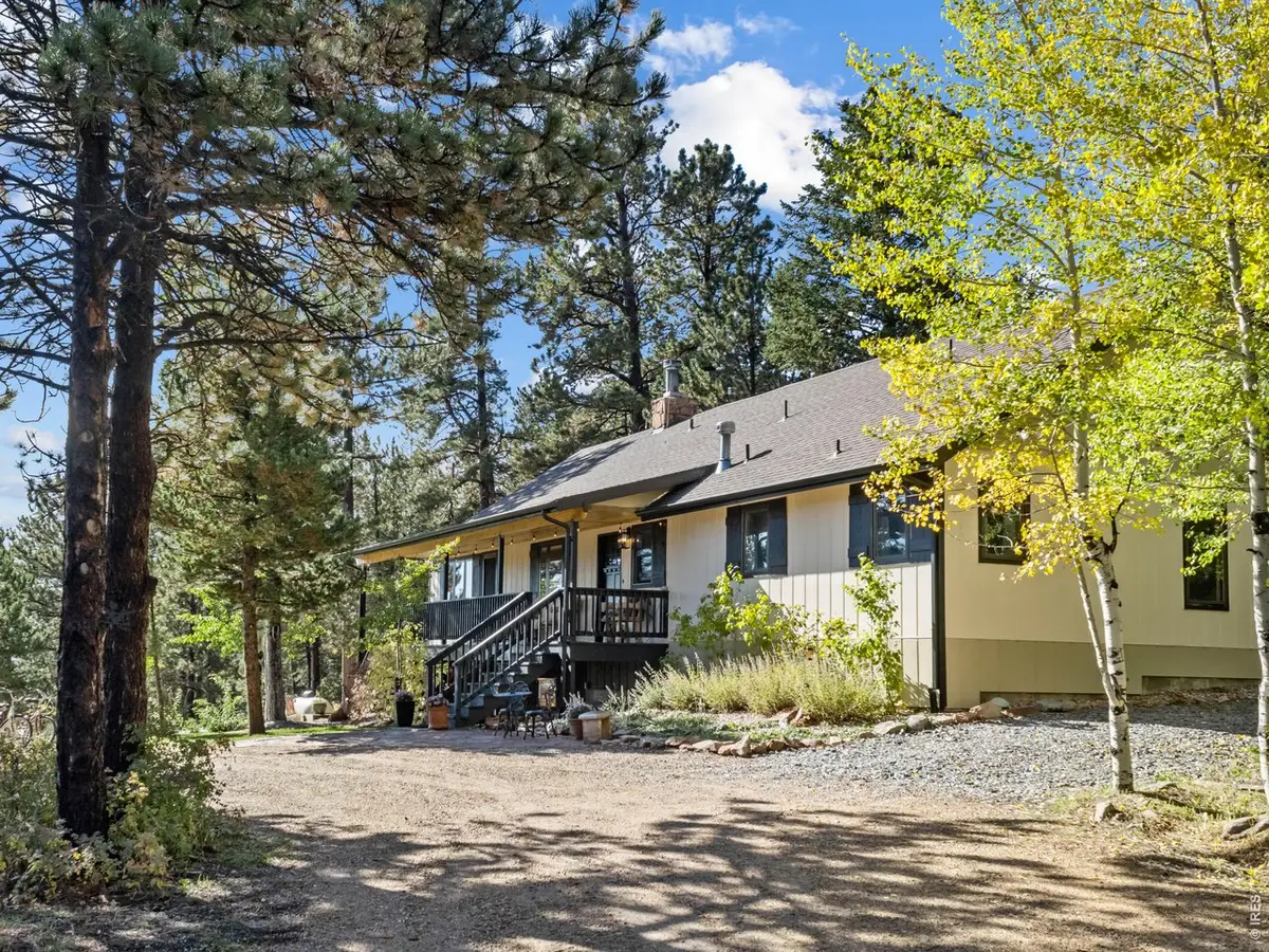 11982 Peak To Peak Dr, Allenspark, CO 80510 - #1