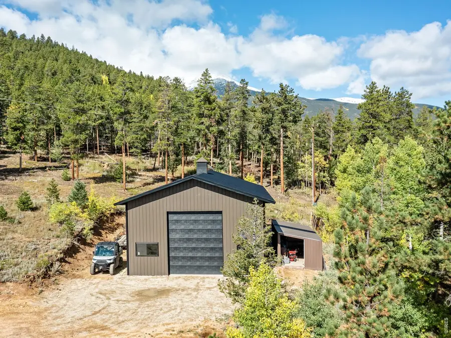 11982 Peak To Peak Dr, Allenspark, CO 80510 - #2