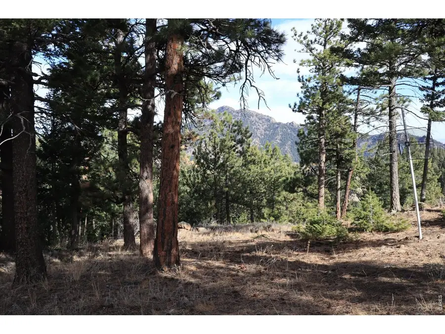 1312 Chute Rd, Golden, CO 80403 - #3