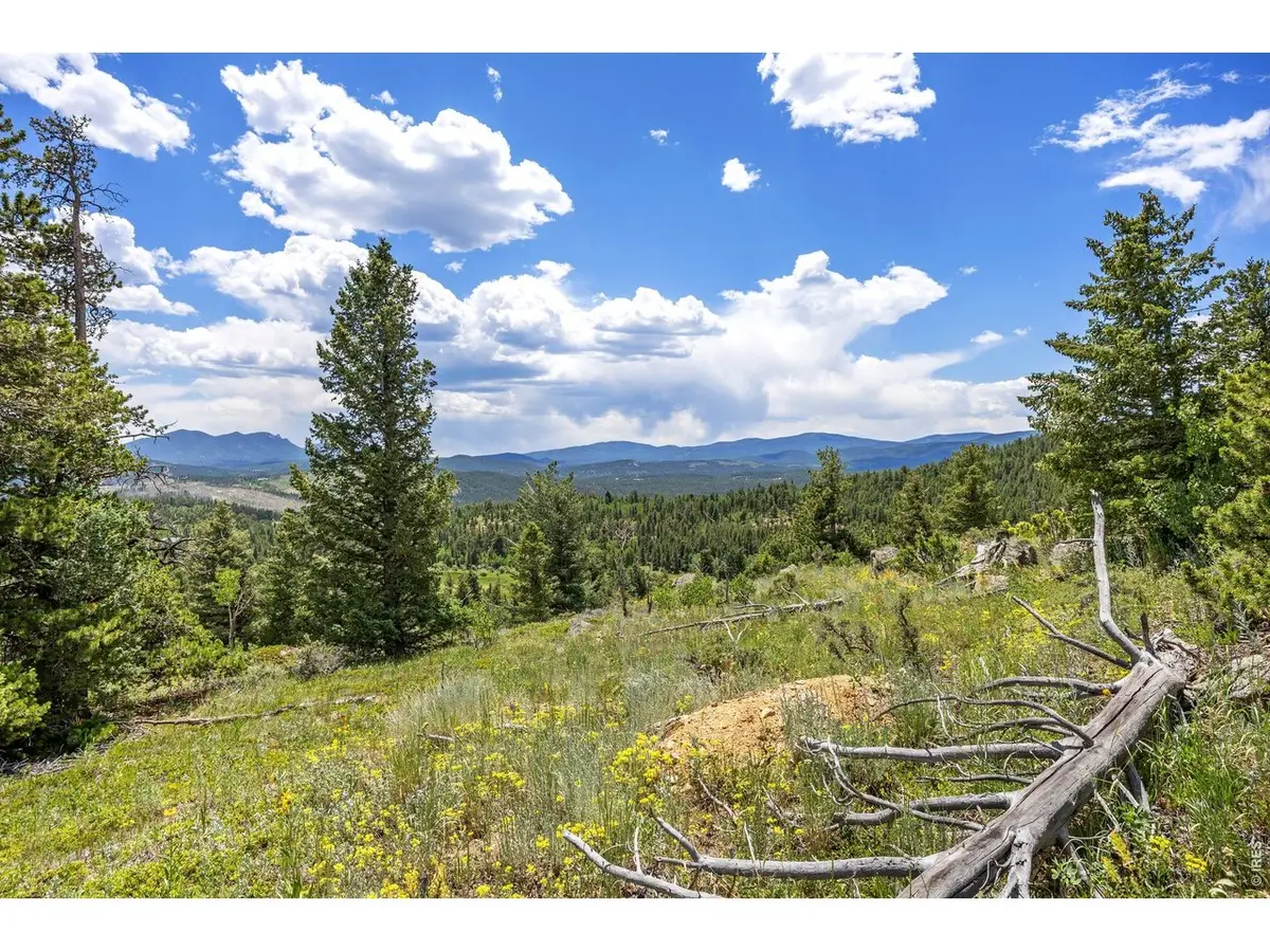 1568 County Road 103, Nederland, CO 80466 - #1