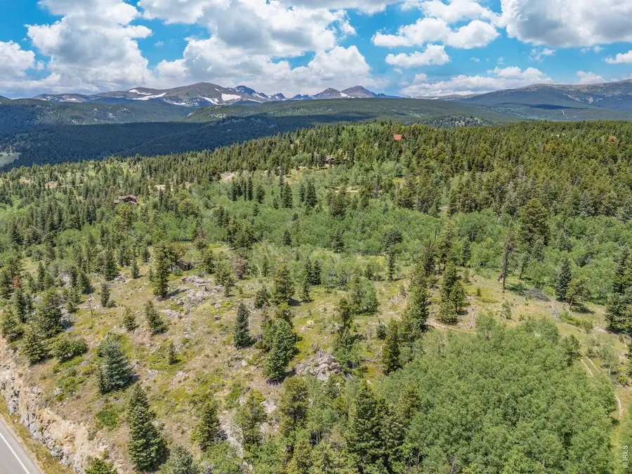 1568 County Road 103, Nederland, CO 80466 - #3