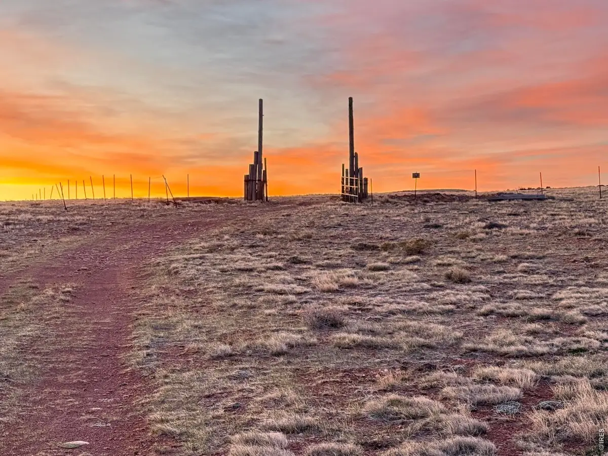 8157 Ferret Cir, Livermore, CO 82070 - #1