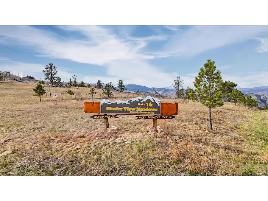 100 Sheep Mountain Ct, Livermore, CO 80536 - #3