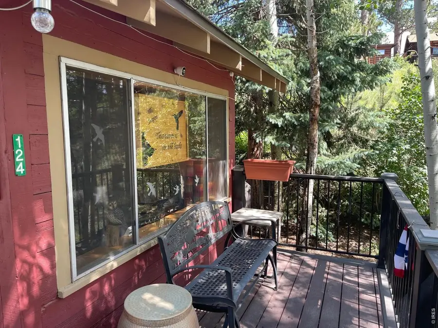124 Ski Rd, Allenspark, CO 80510 - #2