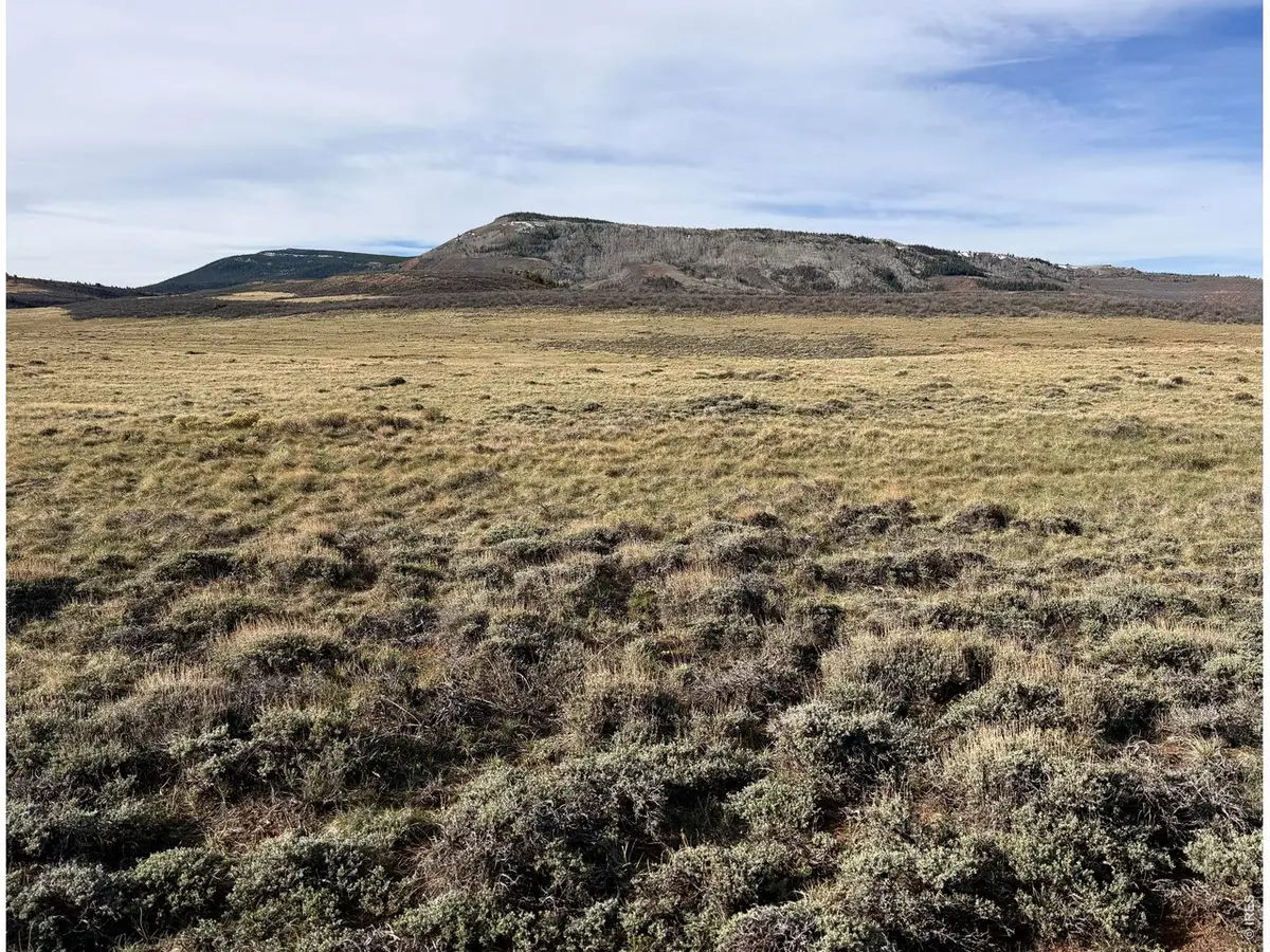 0 Ferret Cir, Livermore, CO 82070 - #1