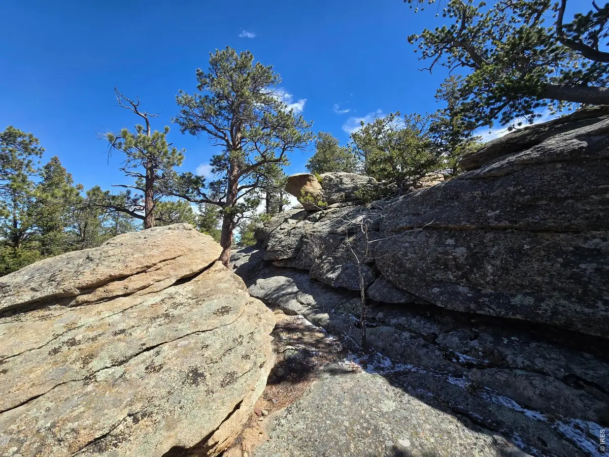 0 Sinisippi Rd, Red Feather Lakes, CO 80545 - #1