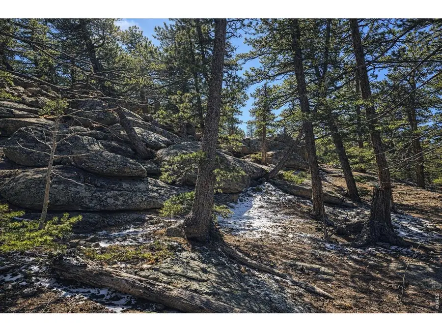 0 Sinisippi Rd, Red Feather Lakes, CO 80545 - #2