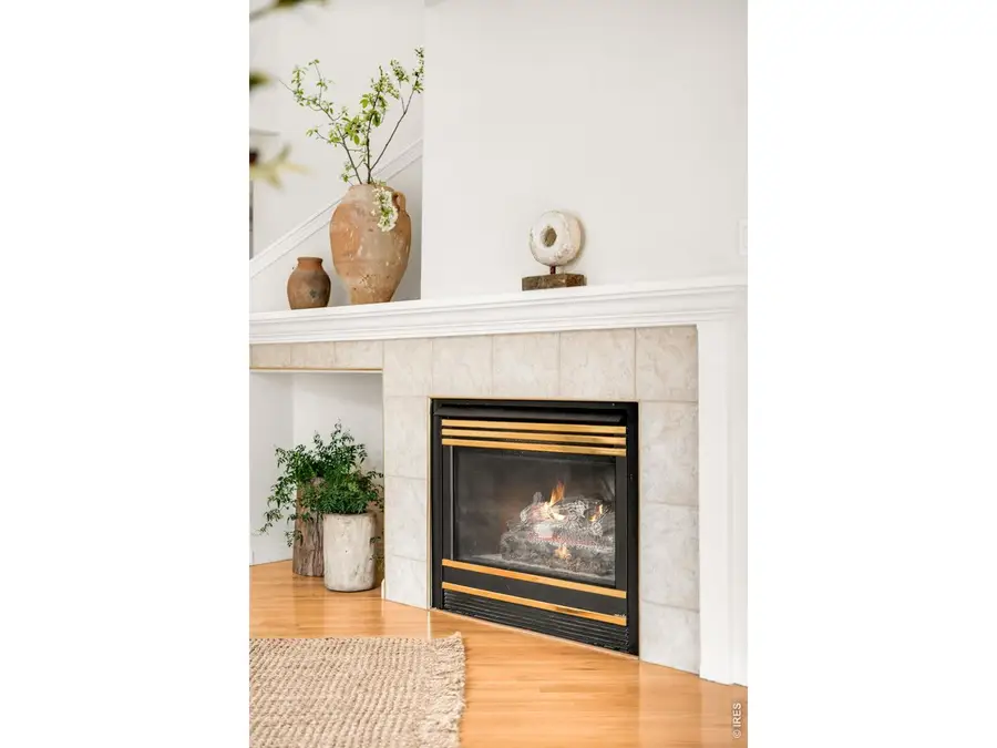 903 Hover Ridge Cir, Longmont, CO 80501 - #3