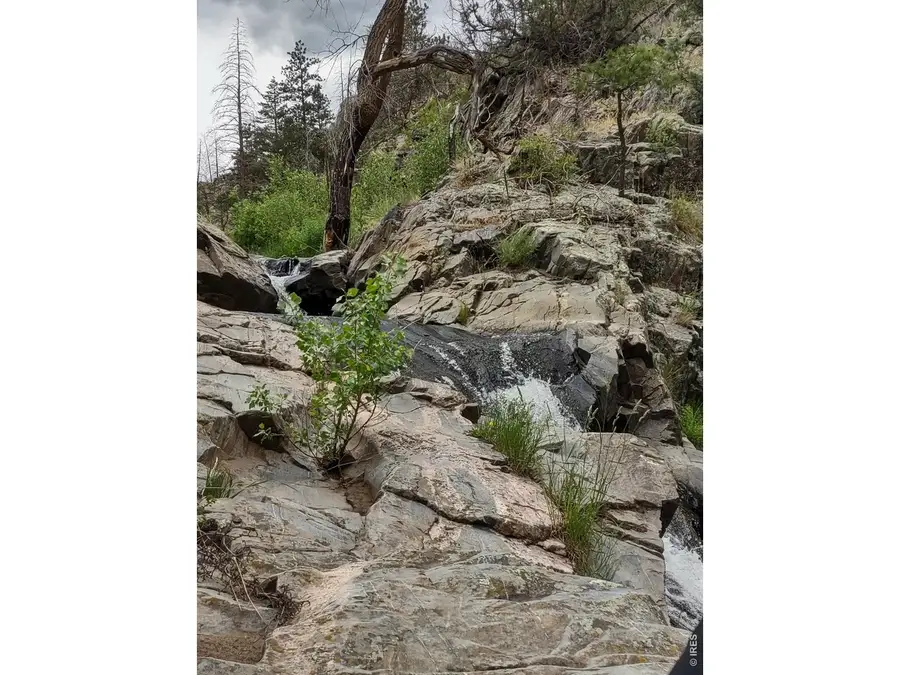 439 Redtail Ridge Way, Bellvue, CO 80512 - #2