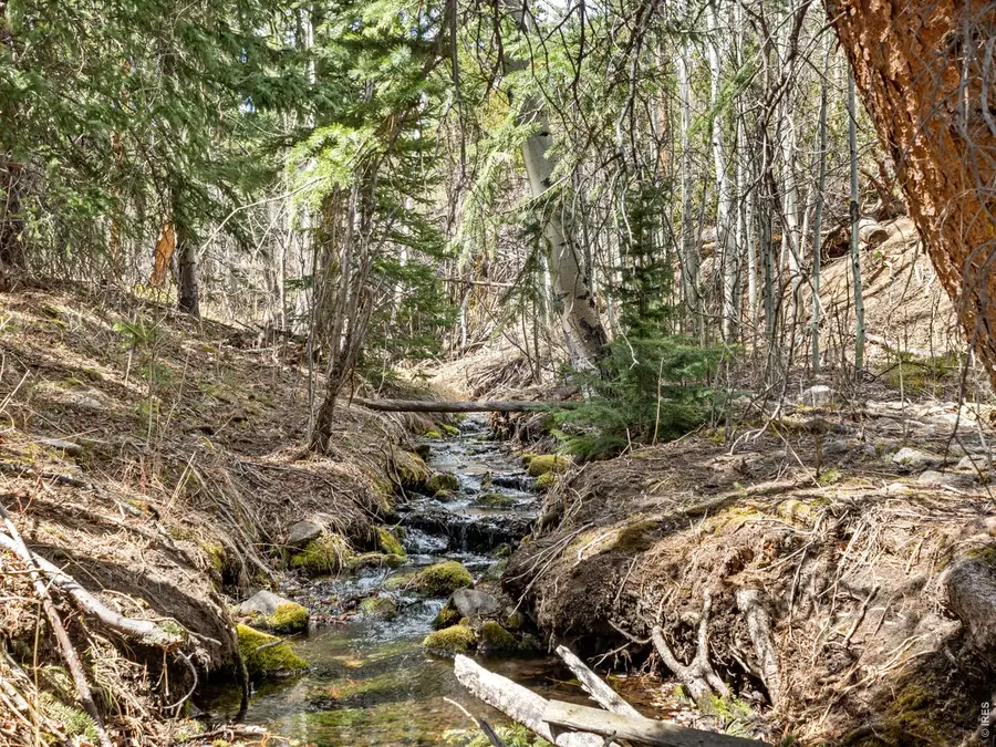 131 County Road 90, Allenspark, CO 80510 - #3